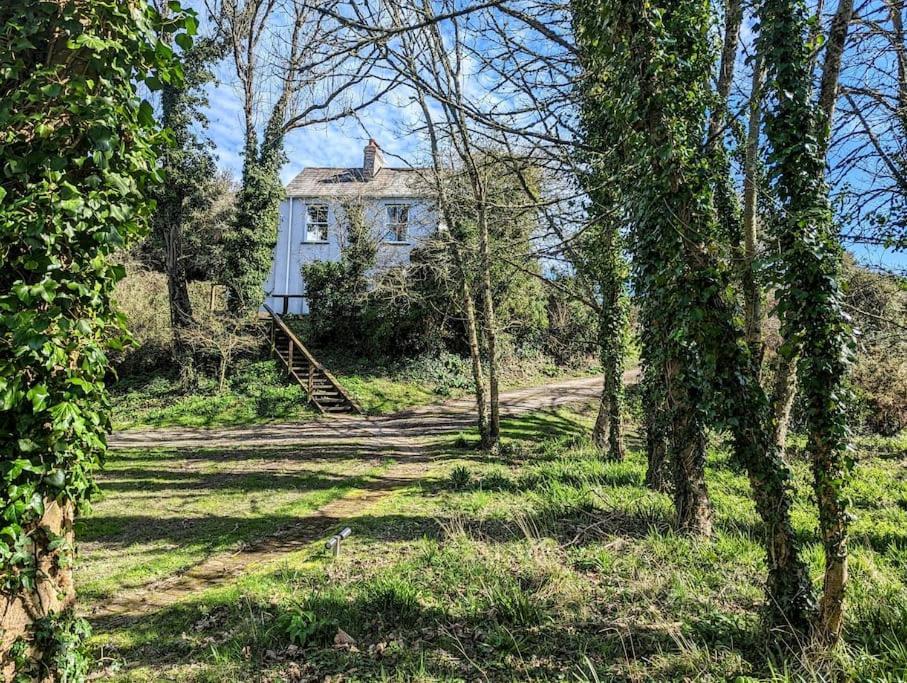 Romantic Secluded Hideaway Cottage In Cornwall トルーロー エクステリア 写真
